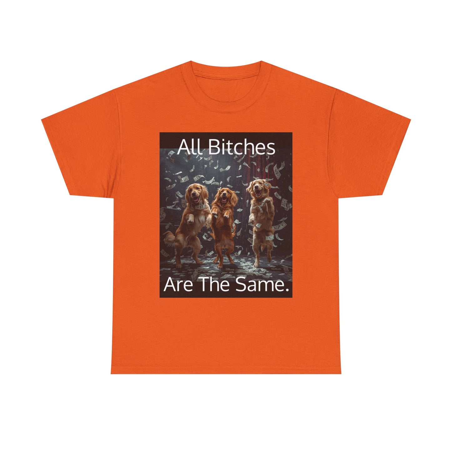 Funny 'Bitches Are the Same' Graphic T-Shirt — Humor Tee for Friends & Gifting