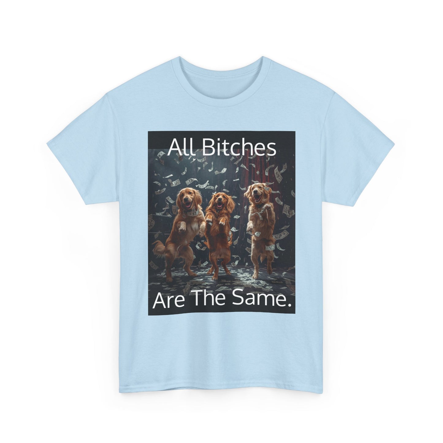 Funny 'Bitches Are the Same' Graphic T-Shirt — Humor Tee for Friends & Gifting