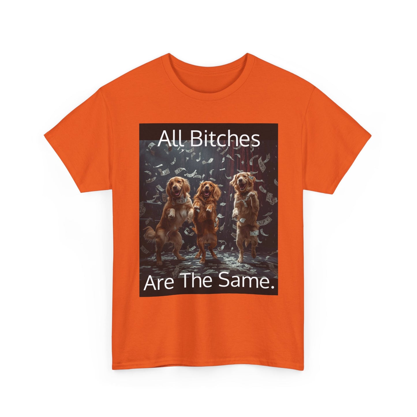Funny 'Bitches Are the Same' Graphic T-Shirt — Humor Tee for Friends & Gifting
