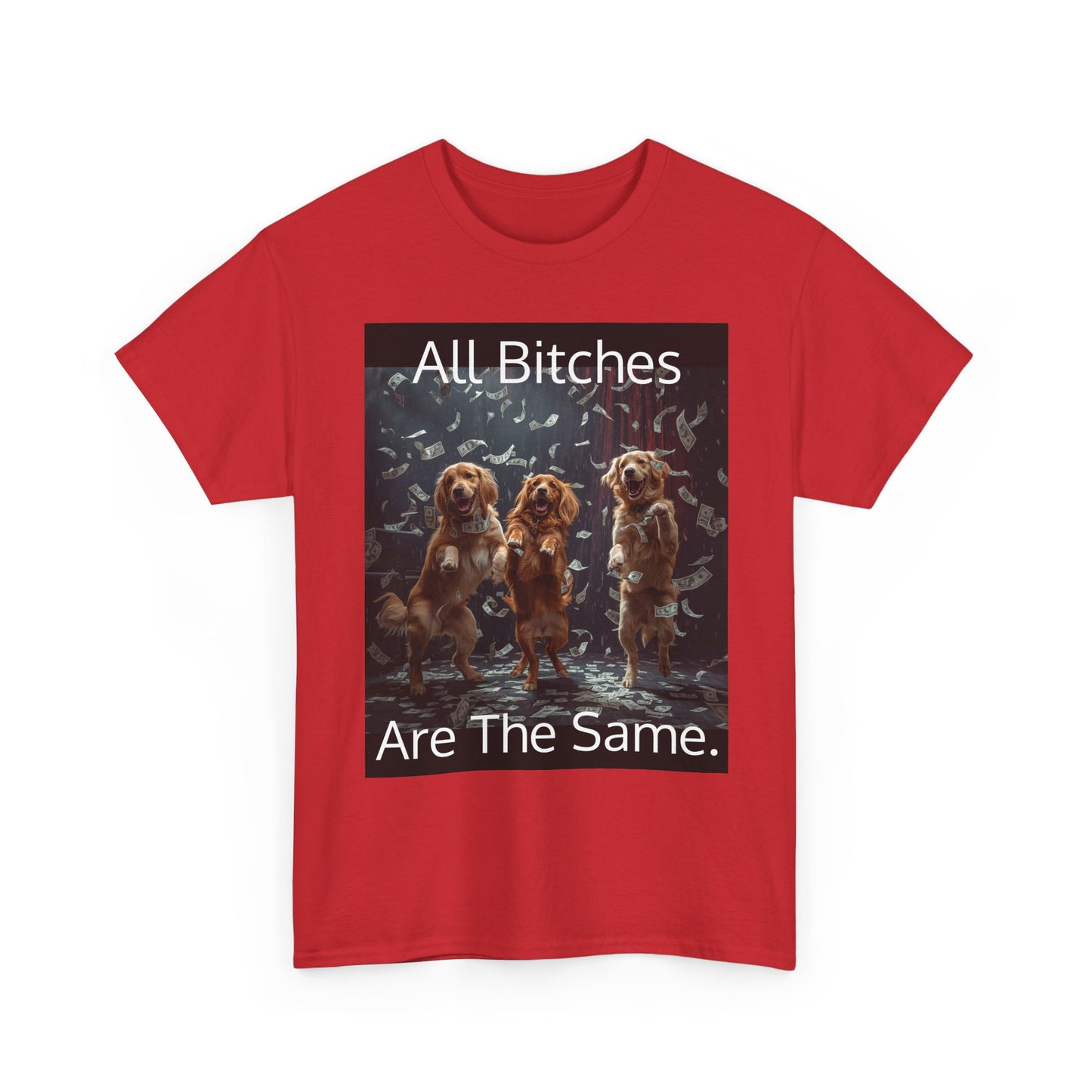 Funny 'Bitches Are the Same' Graphic T-Shirt — Humor Tee for Friends & Gifting