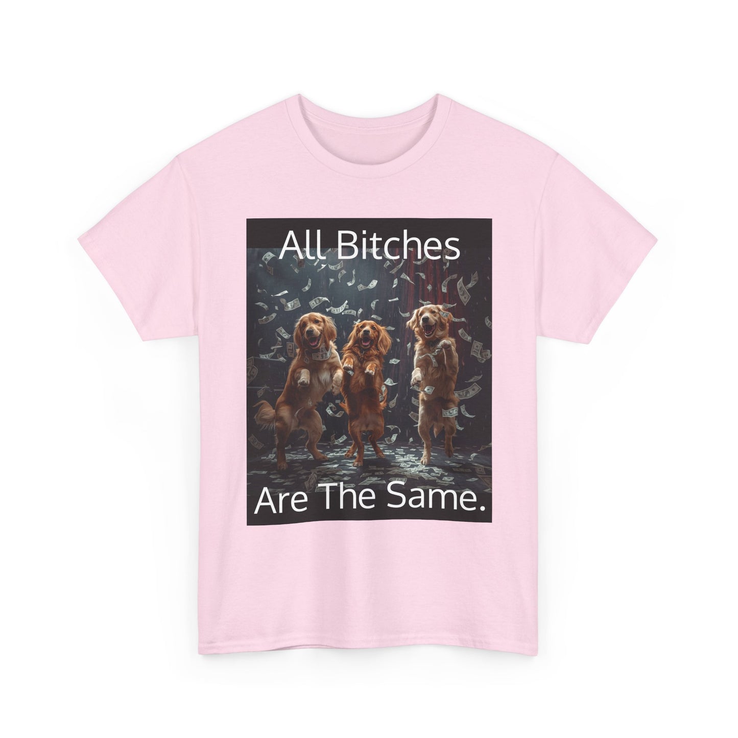 Funny 'Bitches Are the Same' Graphic T-Shirt — Humor Tee for Friends & Gifting