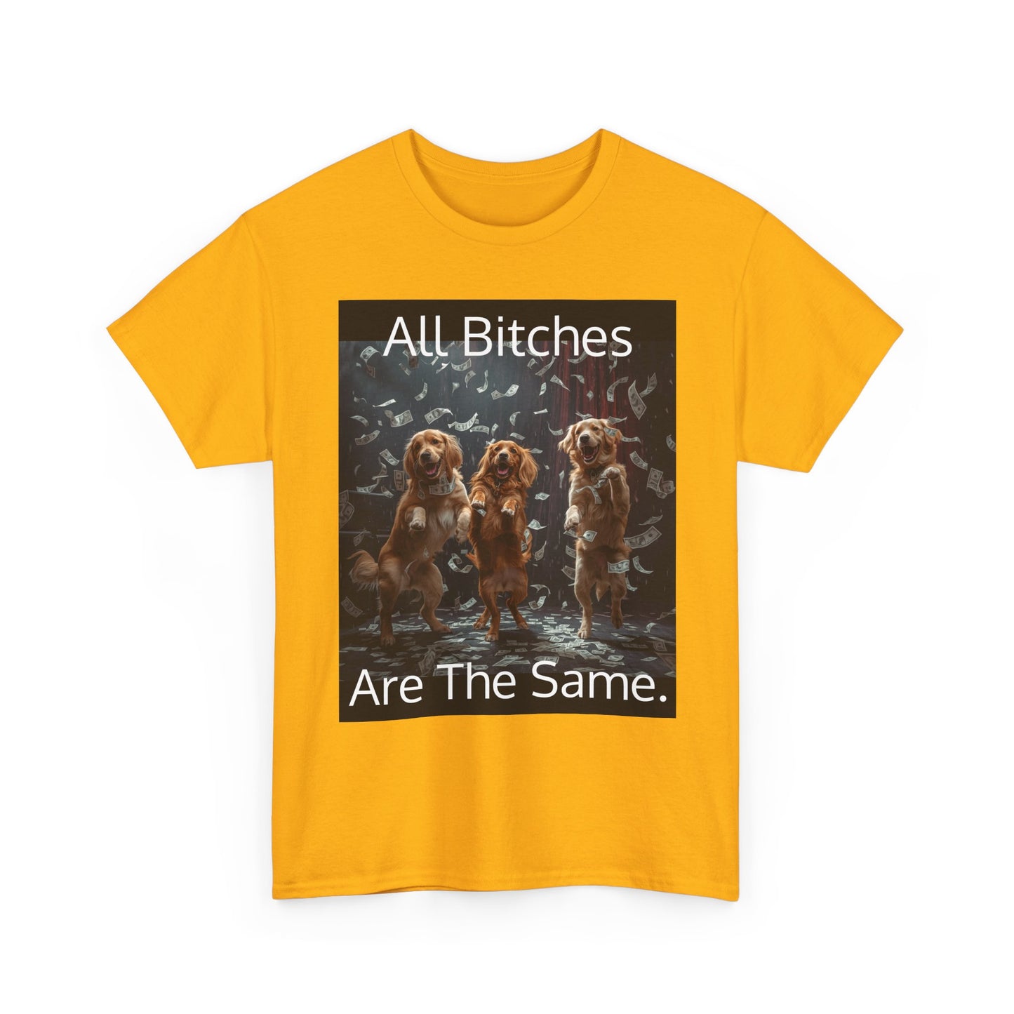 Funny 'Bitches Are the Same' Graphic T-Shirt — Humor Tee for Friends & Gifting