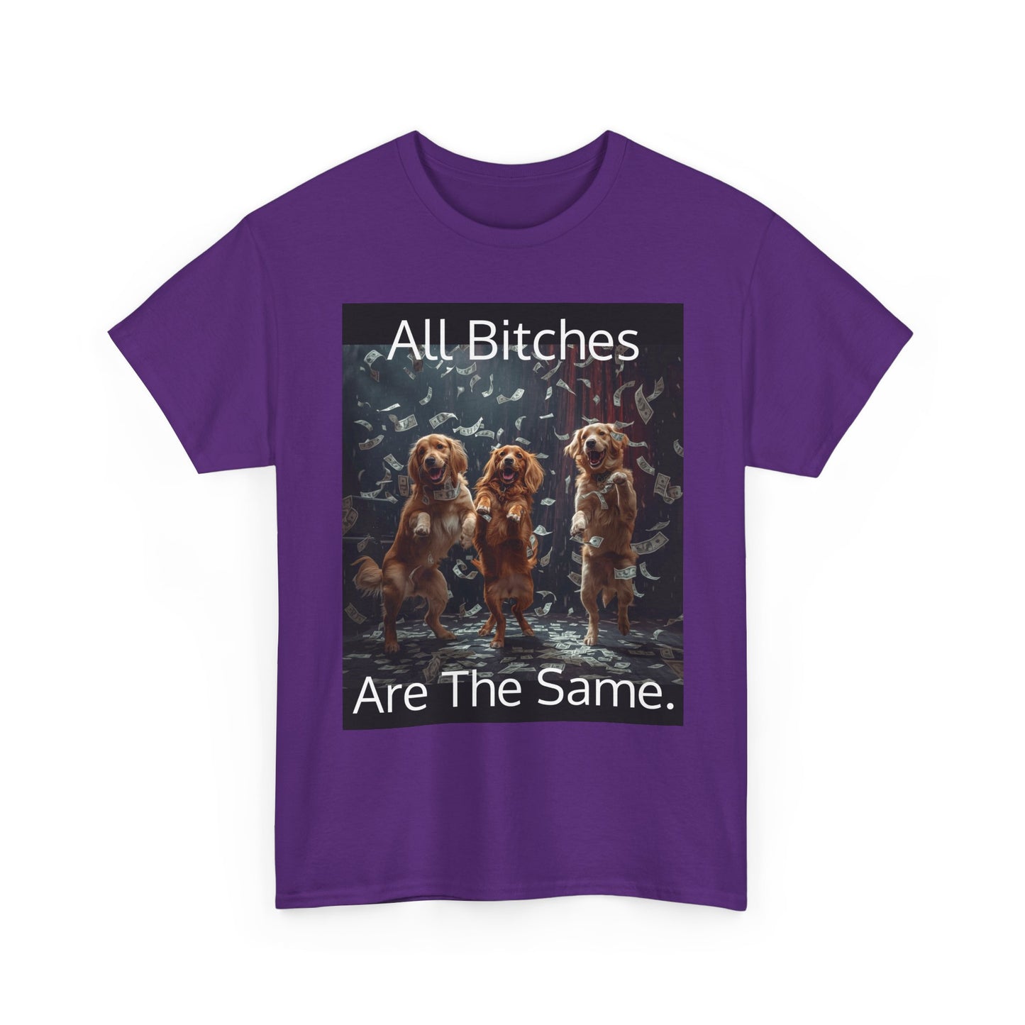 Funny 'Bitches Are the Same' Graphic T-Shirt — Humor Tee for Friends & Gifting